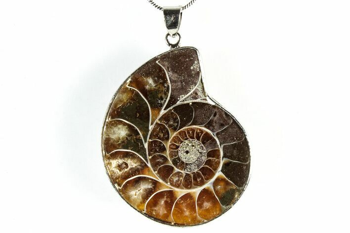 Fossil Ammonite Pendant - Million Years Old #306512